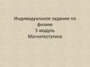Индивидуальное задание по физике. Магнитостатика