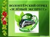 Волонтёрский отряд «Зелёный экспресс»