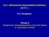 Подавление программируемой клеточной смерти в опухолевых клетках. Лекция 4