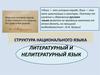 Литературный и нелитературный язык