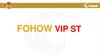 Домашний физиотерапевт FOHOW VIP