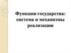 Функции государства. Система и механизмы реализации