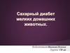 Сахарный диабет мелких домашних животных