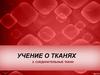 Ткани. Соединительная ткань