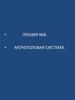 Мочеполовая система. Лекция №8