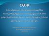 Электрдің, электромагниттік толқындардың, иондаушы және ультрадыбыстық сәулелердің адам денсаулығына әсері