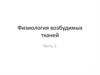 Физиология возбудимых тканей. Часть 1