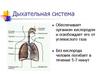 Дыхательная система