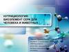 Нутрициология: биоэлемент сера для человека и животных