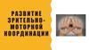 Развитие зрительно-моторной координации