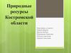 Природные ресурсы Костромской области