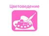 Цветоведение. Цвета и акварель