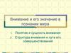 Внимание и его значение в познании мира