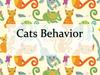 Cats Behavior