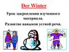 Der Winter