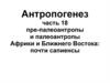 Антропогенез. Пре-палеоантропы и палеоантропы Африки и  Ближнего Востока: почти сапиенсы