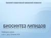 Биосинтез липидов