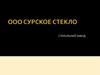ООО «Сурское стекло». Стекольный завод (для инвесторов)