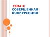 Совершенная конкуренция. Типы конкуренции и основные рыночные структуры в современной экономике