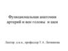 Функциональная анатомия артерий и вен головы и шеи