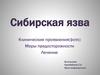 Сибирская язва. Клинические проявления. Меры предосторожности. Лечение
