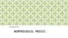 Morphological  process. Lexicology