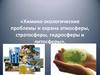 Химико-экологические проблемы и охрана атмосферы, стратосферы, гидросферы и литосферы
