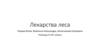 Лекарства леса
