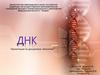 ДНК. Информация ДНК