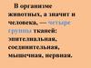 Ткани в организме животных и человека