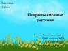 Покрытосеменные растения. 5 класс