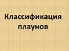Классификация плаунов