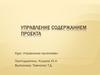 Управление содержанием проекта