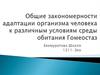 Закономерности адаптации организма человека к различным условиям среды обитания. Гомеостаз
