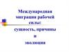 Международная миграция рабочей силы: сущность, причины и эволюция