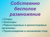 Собственно бесполое размножение растений