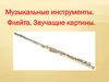 Музыкальные инструменты. Флейта. Звучащие картины