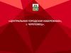 Центральная городская набережная, г. Череповец. Перспективы