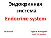 Эндокринная система