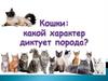 Кошки