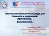 Безопасная больничная среда для пациента и персонала. Эргономика. Биомеханика