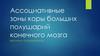Ассоциативные зоны коры больших полушарий конечного мозга
