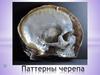 Паттерны черепа