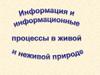 Информация и информационные процессы в живой и неживой природе