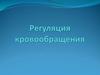 Регуляция кровообращения