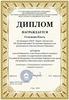 Дипломы ЛТ 9-11 классы