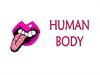 Human body