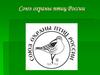 Союз охраны птиц России
