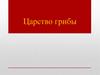 Царство грибы