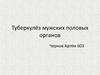 Туберкулёз мужских половых органов